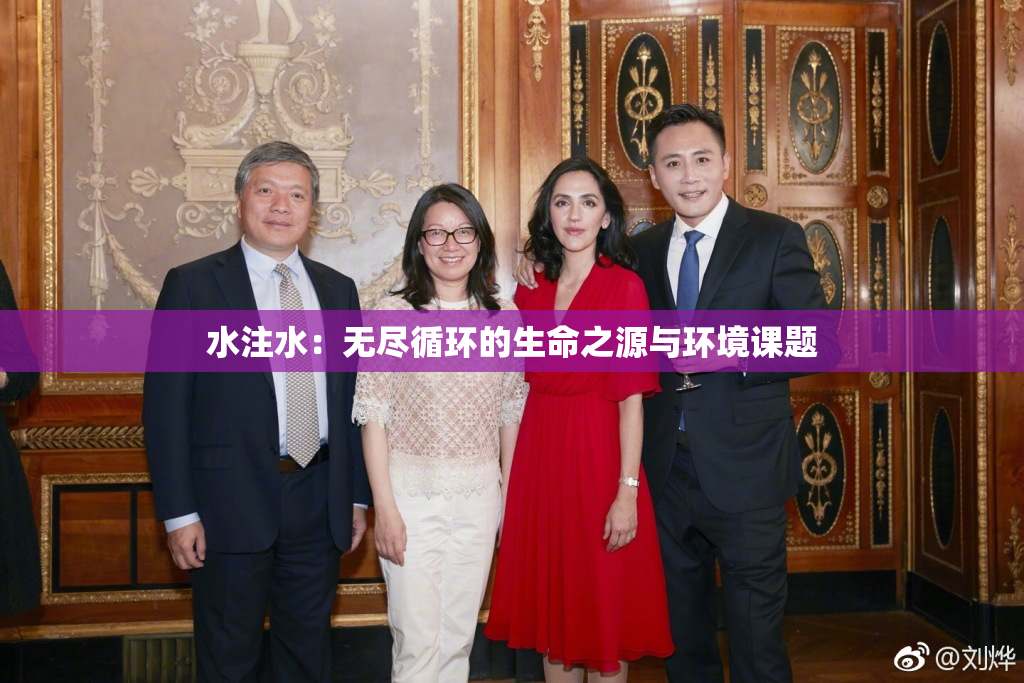 水注水：无尽循环的生命之源与环境课题