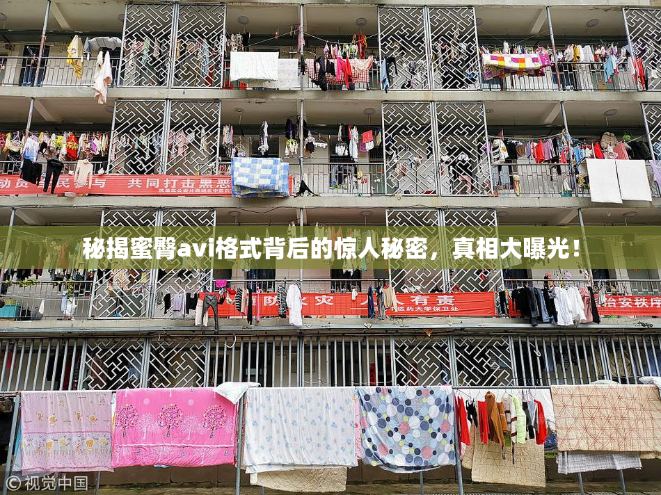 秘揭蜜臀avi格式背后的惊人秘密，真相大曝光！