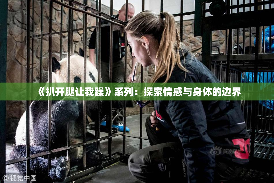 《扒开腿让我躁》系列：探索情感与身体的边界