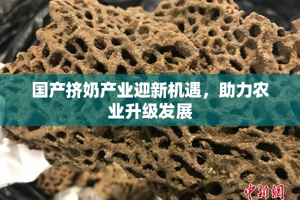 国产挤奶产业迎新机遇，助力农业升级发展
