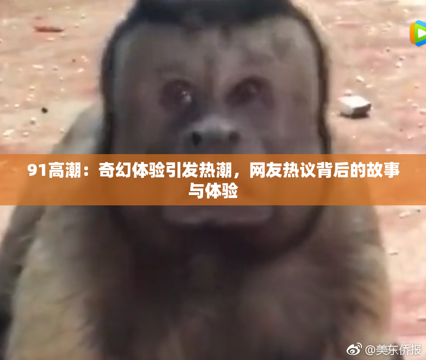 91高潮：奇幻体验引发热潮，网友热议背后的故事与体验