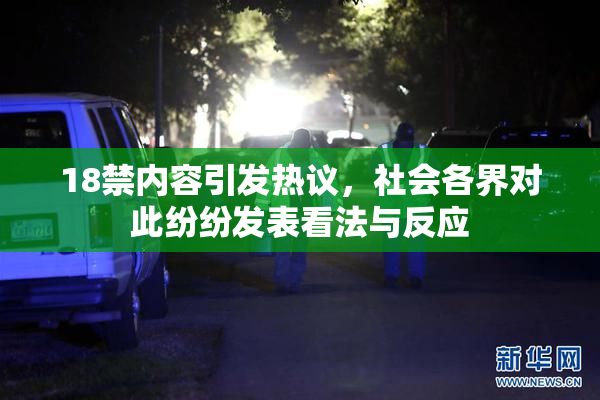 18禁内容引发热议，社会各界对此纷纷发表看法与反应