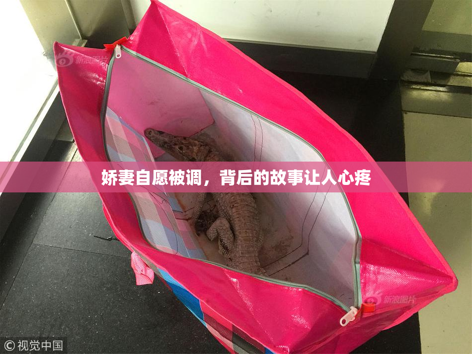 娇妻自愿被调，背后的故事让人心疼
