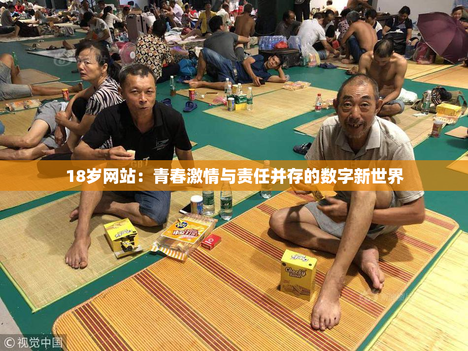 18岁网站：青春激情与责任并存的数字新世界