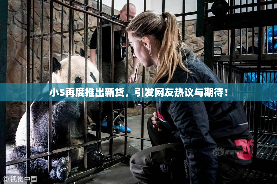 小S再度推出新货，引发网友热议与期待！