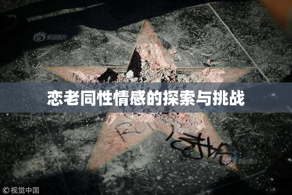 恋老同性情感的探索与挑战