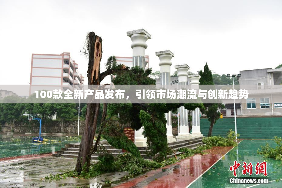 100款全新产品发布，引领市场潮流与创新趋势