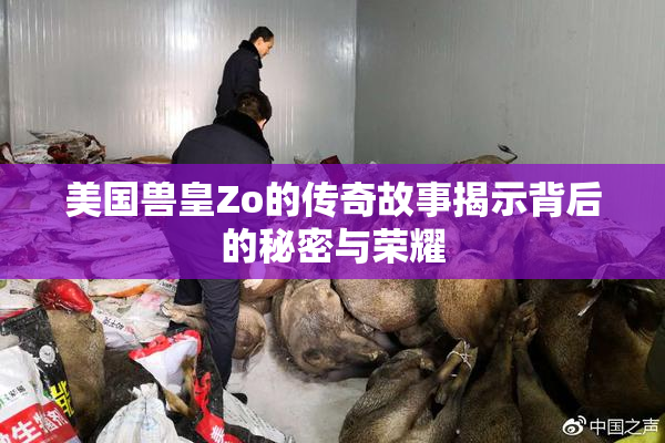 美国兽皇Zo的传奇故事揭示背后的秘密与荣耀