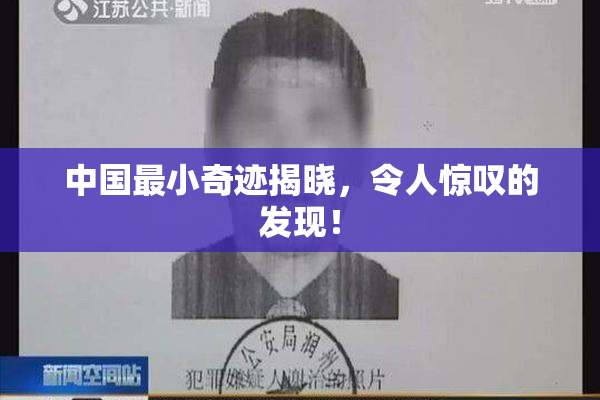 中国最小奇迹揭晓，令人惊叹的发现！