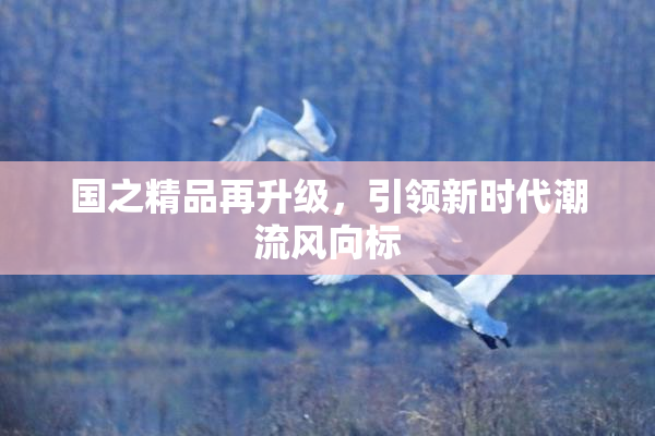 国之精品再升级，引领新时代潮流风向标