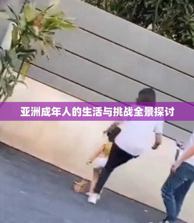 亚洲成年人的生活与挑战全景探讨