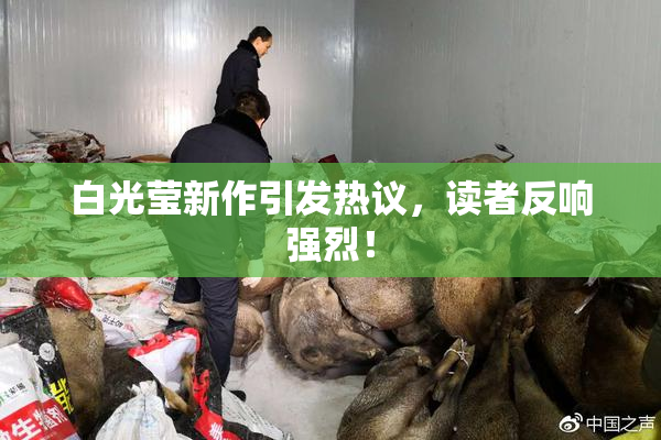 白光莹新作引发热议，读者反响强烈！
