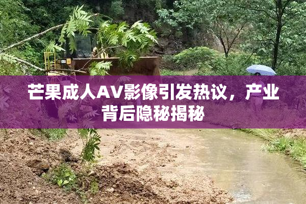 芒果成人AV影像引发热议，产业背后隐秘揭秘