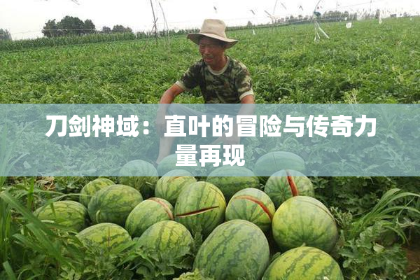 刀剑神域：直叶的冒险与传奇力量再现