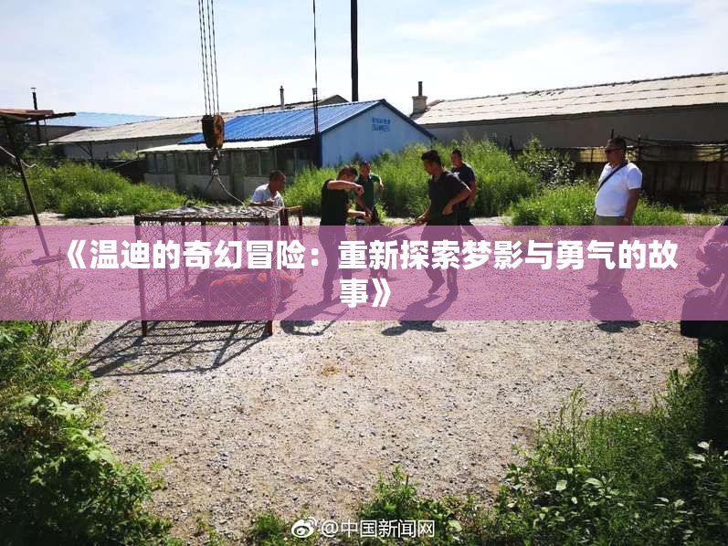 《温迪的奇幻冒险：重新探索梦影与勇气的故事》