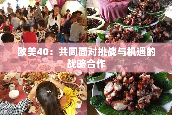 欧美40：共同面对挑战与机遇的战略合作