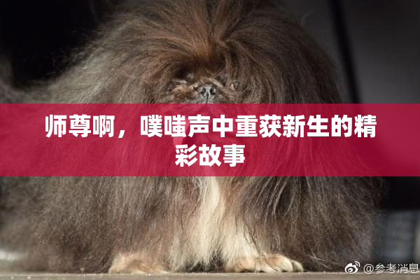 师尊啊，噗嗤声中重获新生的精彩故事