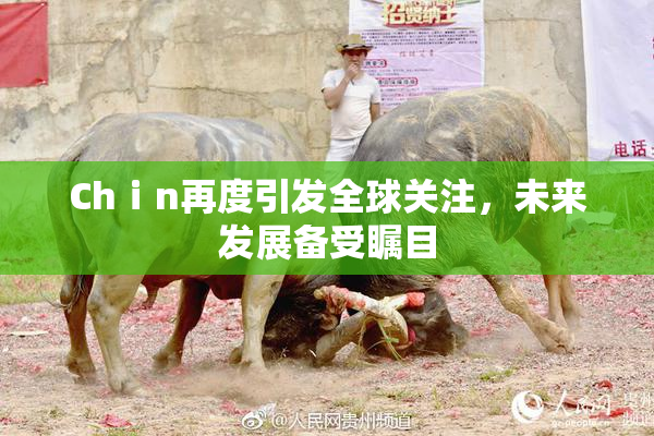 Chⅰn再度引发全球关注，未来发展备受瞩目