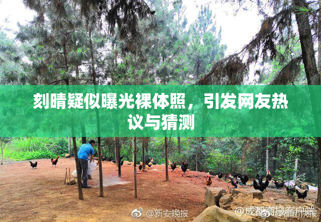 刻晴疑似曝光裸体照，引发网友热议与猜测