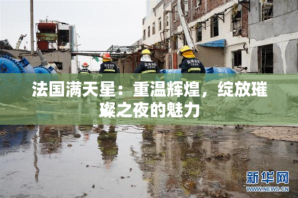 法国满天星：重温辉煌，绽放璀璨之夜的魅力
