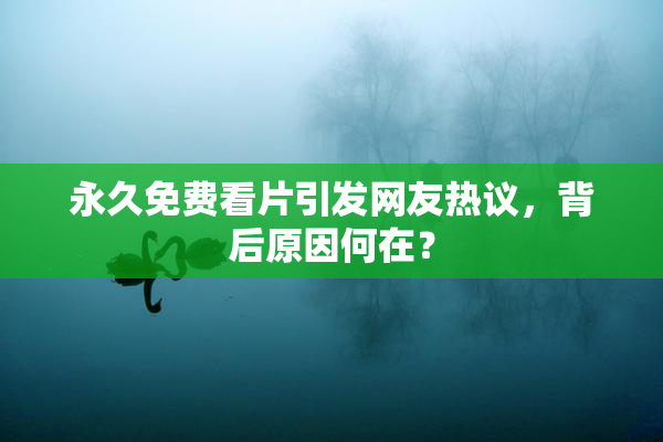 永久免费看片引发网友热议，背后原因何在？