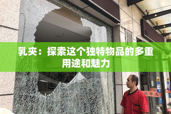 乳夹：探索这个独特物品的多重用途和魅力
