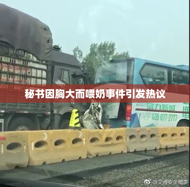 秘书因胸大而喂奶事件引发热议