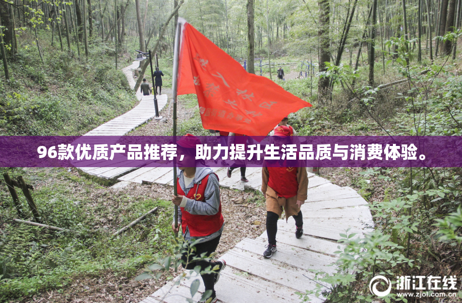 96款优质产品推荐，助力提升生活品质与消费体验。