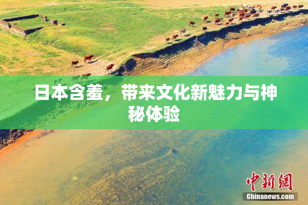日本含羞，带来文化新魅力与神秘体验