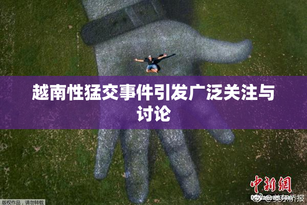 越南性猛交事件引发广泛关注与讨论