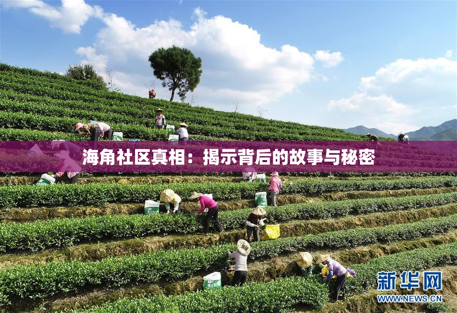 海角社区真相：揭示背后的故事与秘密