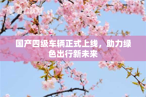 国产四级车辆正式上线，助力绿色出行新未来