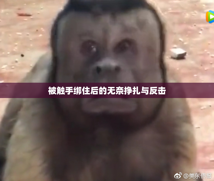 被触手绑住后的无奈挣扎与反击