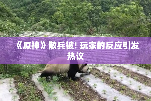 《原神》散兵被! 玩家的反应引发热议