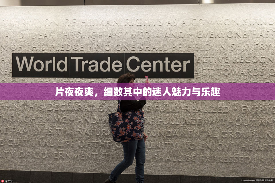 片夜夜爽，细数其中的迷人魅力与乐趣