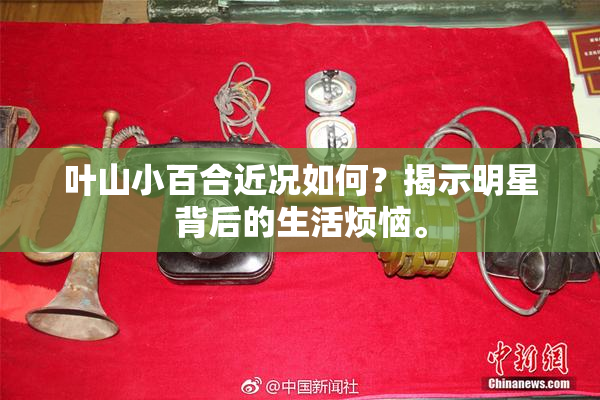 叶山小百合近况如何？揭示明星背后的生活烦恼。
