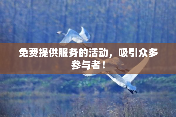 免费提供服务的活动，吸引众多参与者！