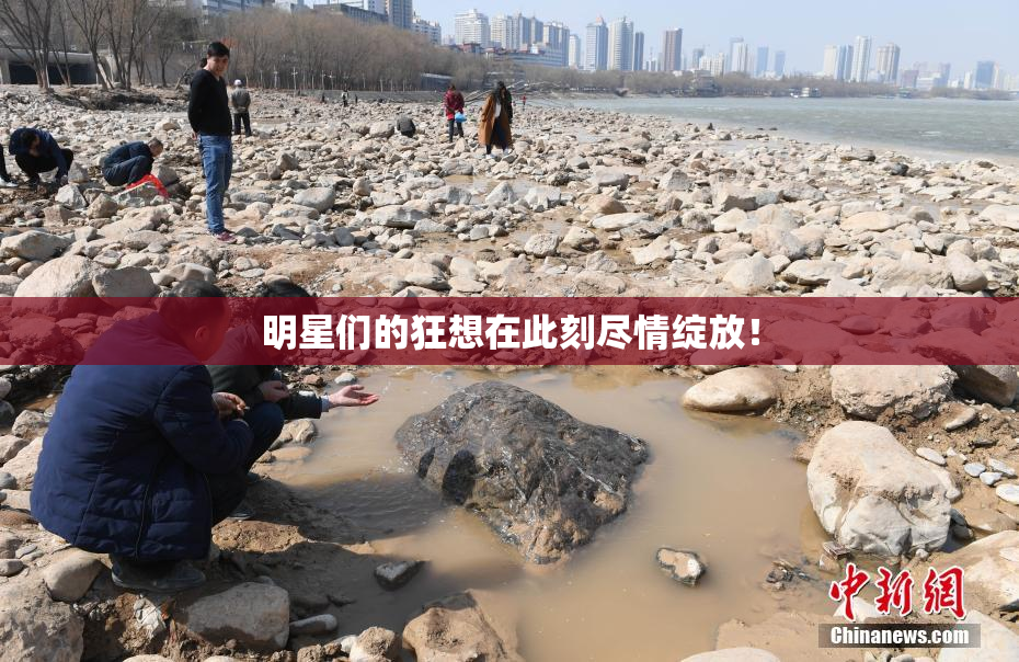 明星们的狂想在此刻尽情绽放！