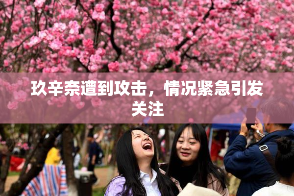 玖辛奈遭到攻击，情况紧急引发关注