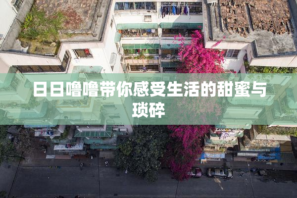 日日噜噜带你感受生活的甜蜜与琐碎