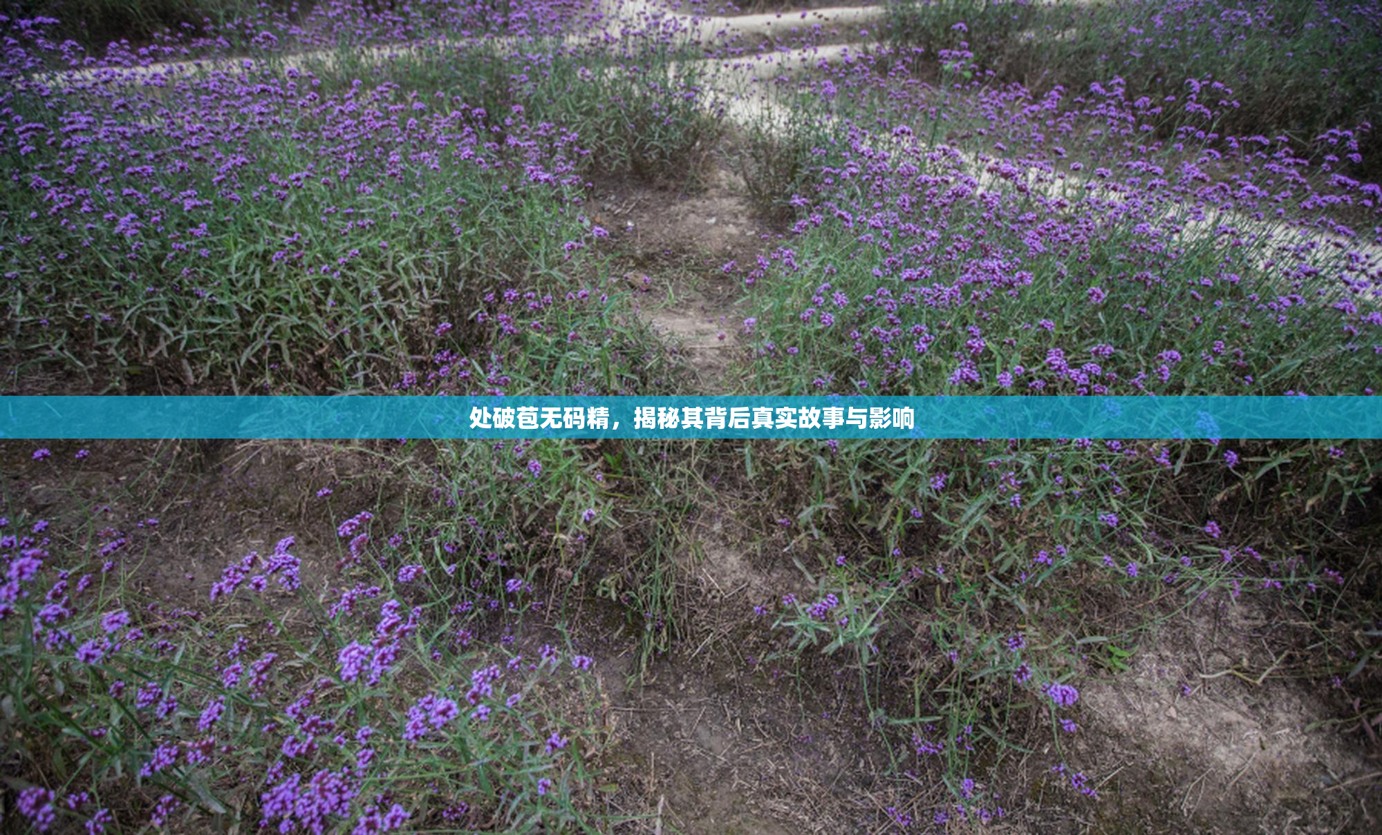 处破苞无码精，揭秘其背后真实故事与影响