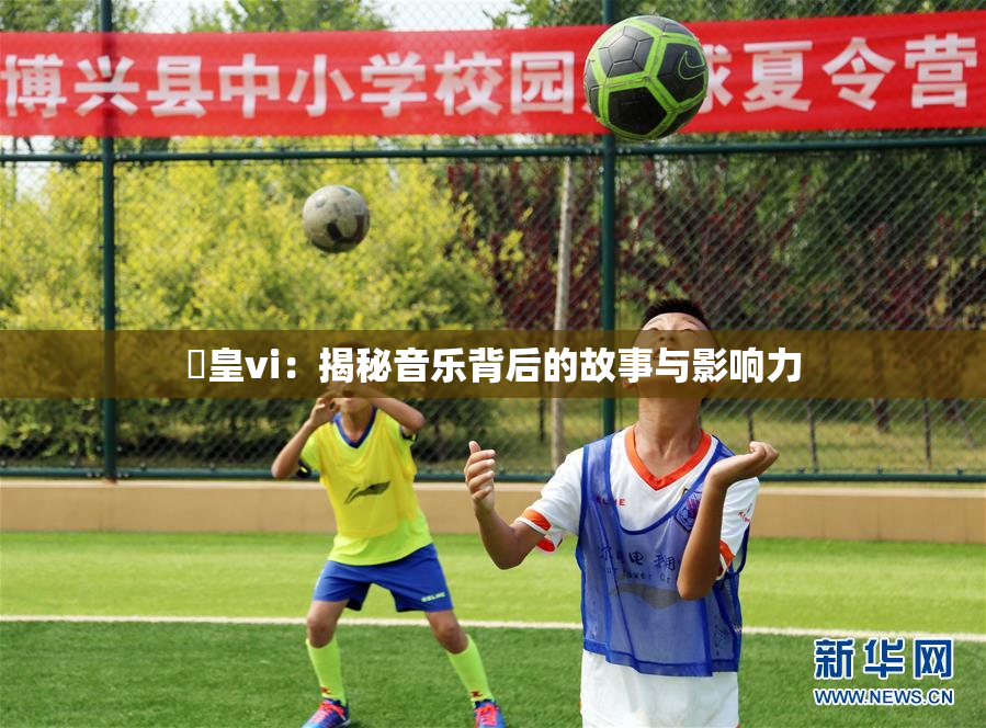 嘼皇vi：揭秘音乐背后的故事与影响力