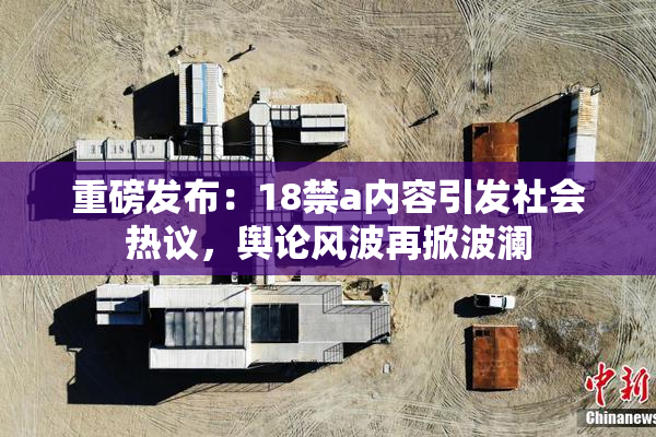 重磅发布：18禁a内容引发社会热议，舆论风波再掀波澜