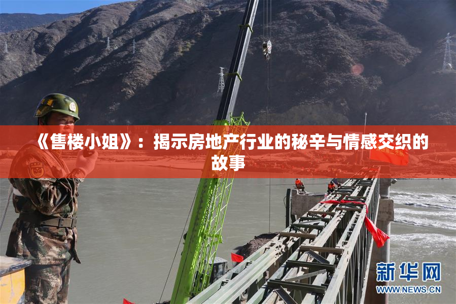 《售楼小姐》：揭示房地产行业的秘辛与情感交织的故事