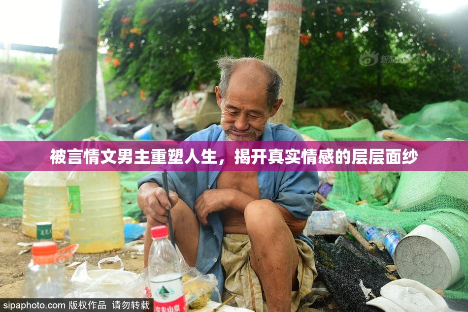 被言情文男主重塑人生，揭开真实情感的层层面纱