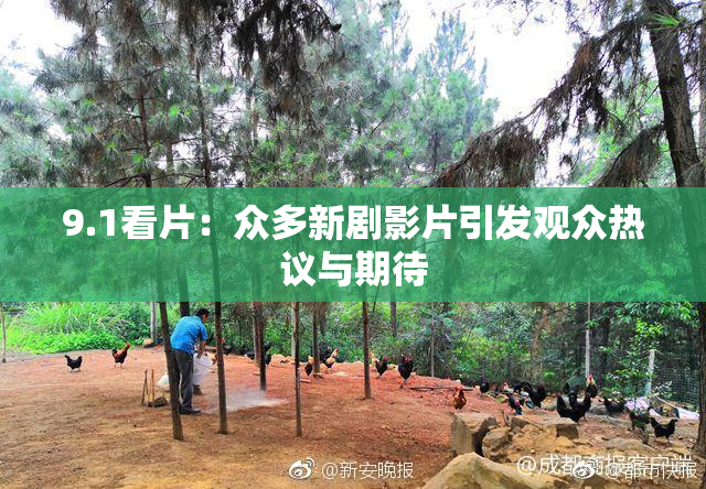 9.1看片：众多新剧影片引发观众热议与期待