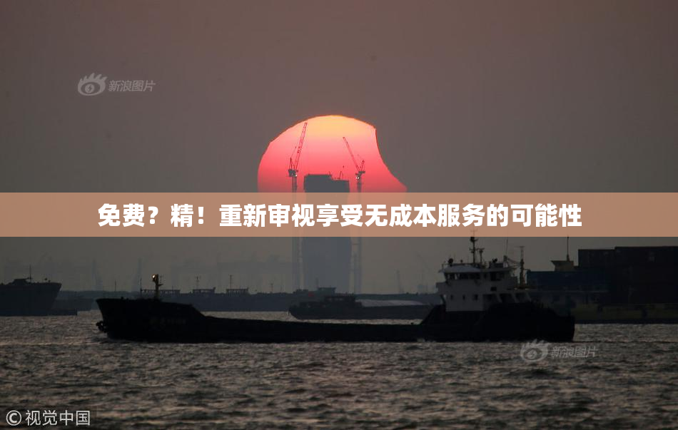 免费？精！重新审视享受无成本服务的可能性