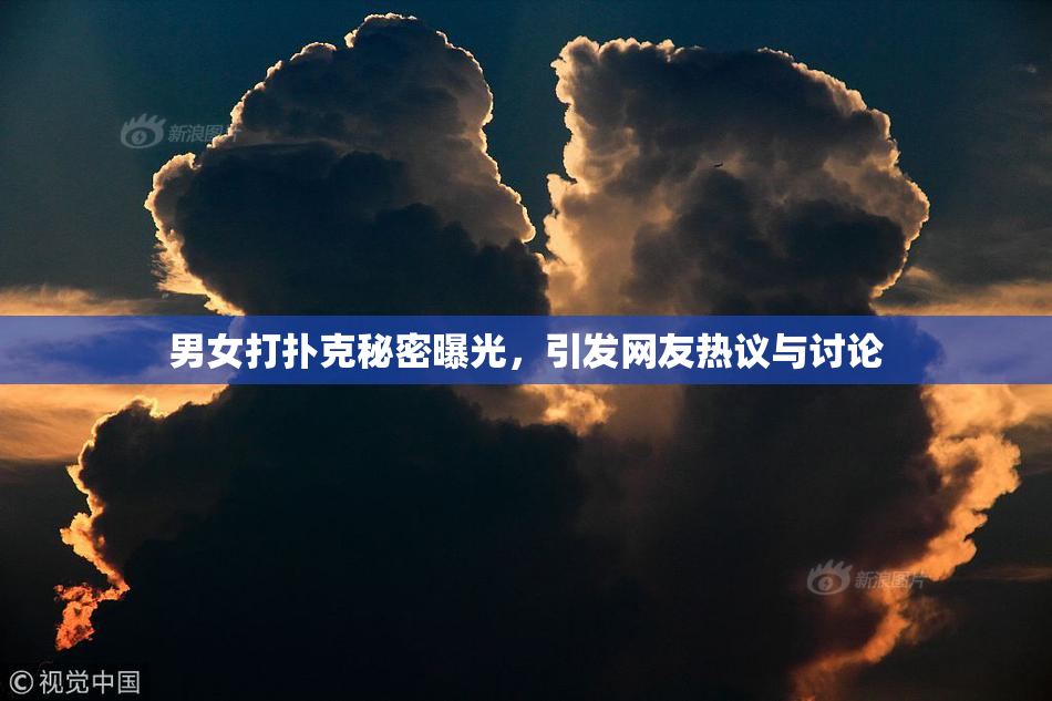 男女打扑克秘密曝光，引发网友热议与讨论