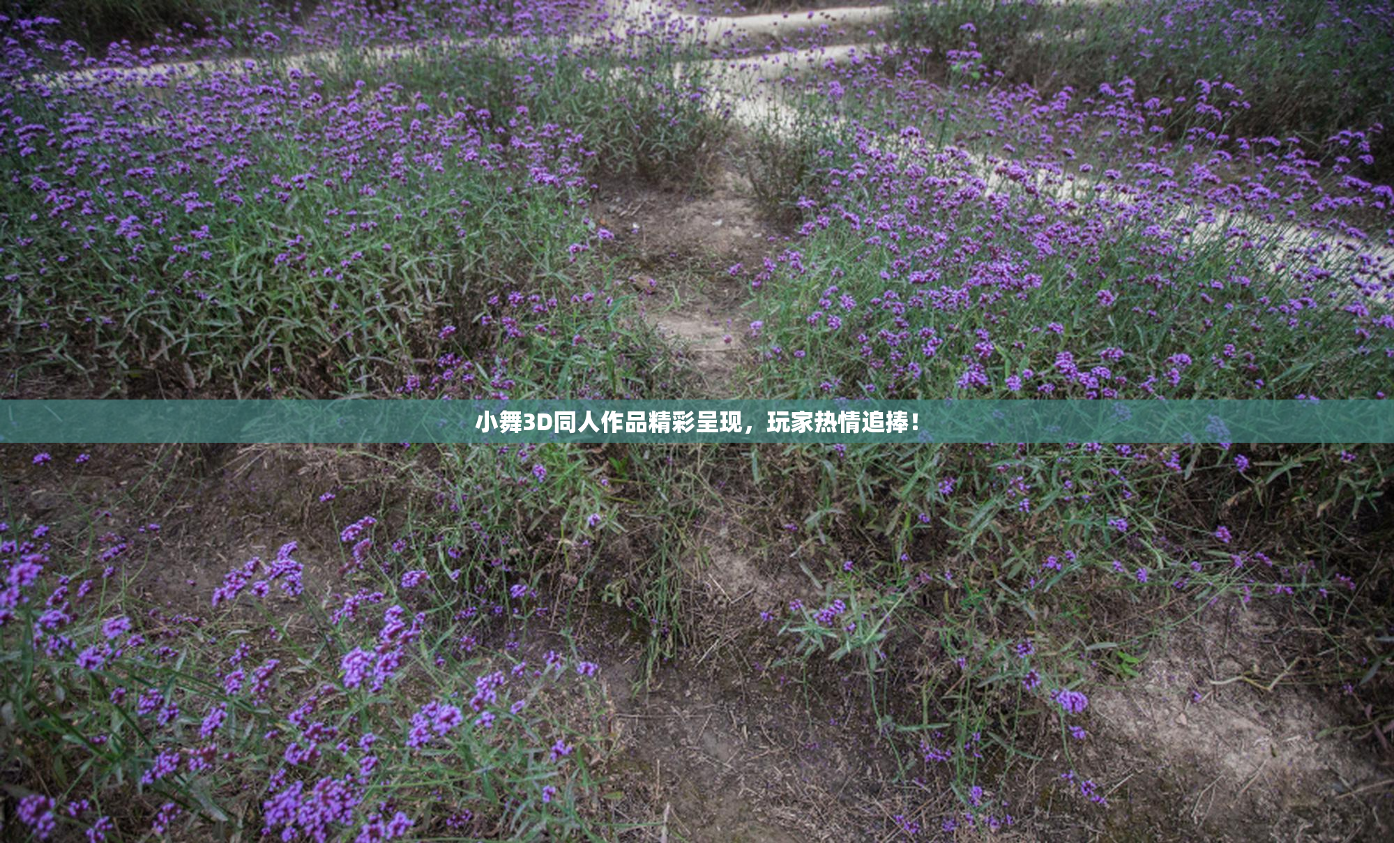 小舞3D同人作品精彩呈现，玩家热情追捧！