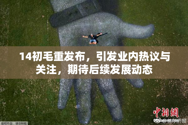 14初毛重发布，引发业内热议与关注，期待后续发展动态